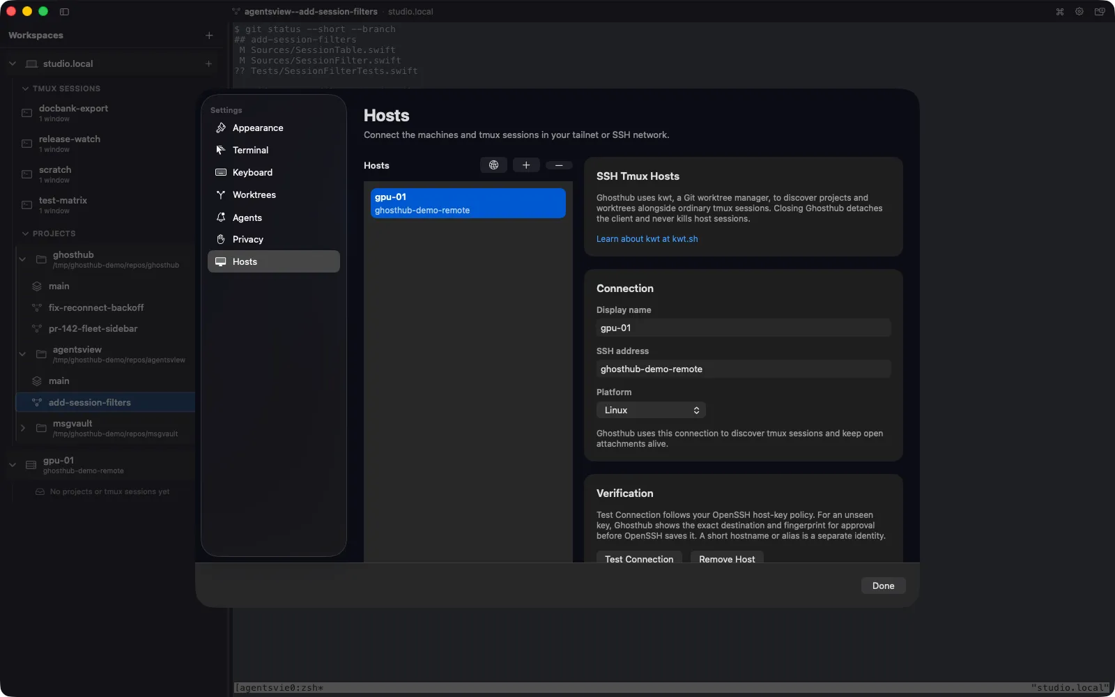 Ghosthub Hosts settings with a configured remote GPU host
