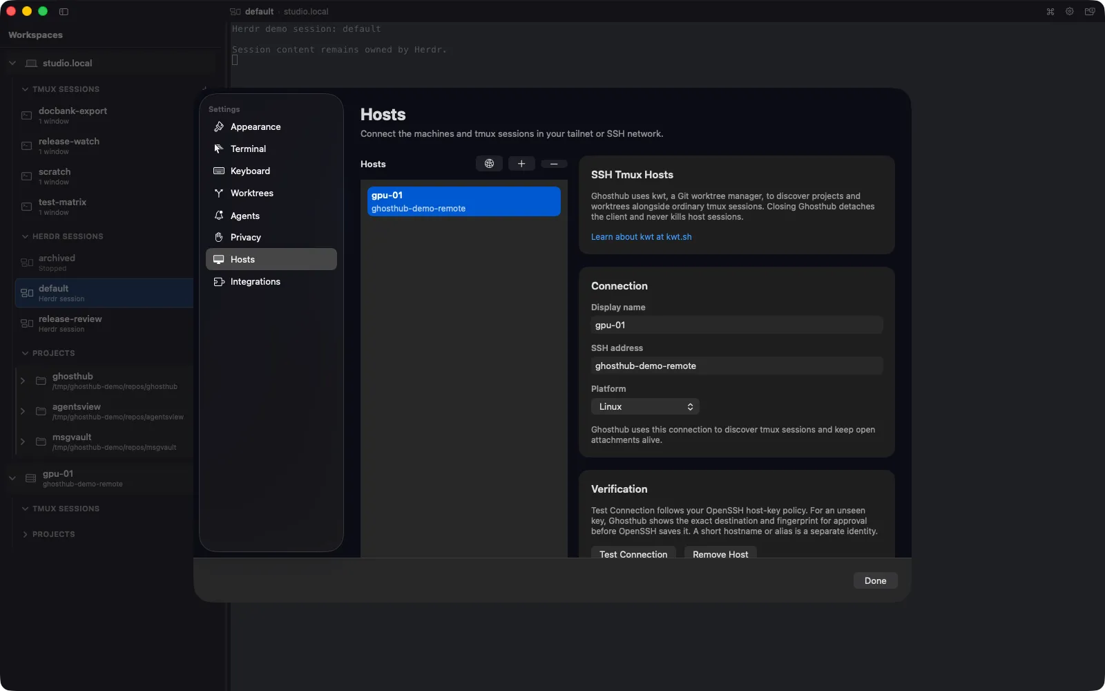Ghosthub Hosts settings with a configured remote GPU host