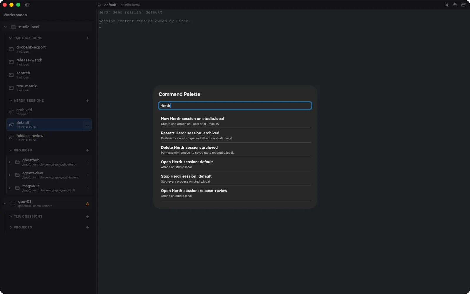 Ghosthub workspace showing Tmux Sessions, Herdr Sessions, Projects, and a remote host in the sidebar