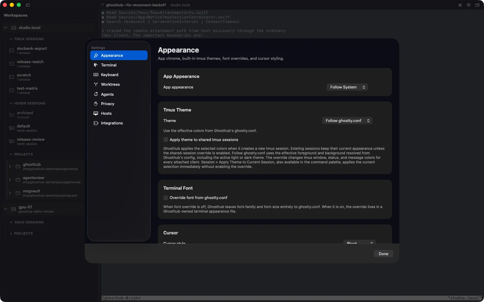 Ghosthub Appearance settings showing the theme for new tmux sessions