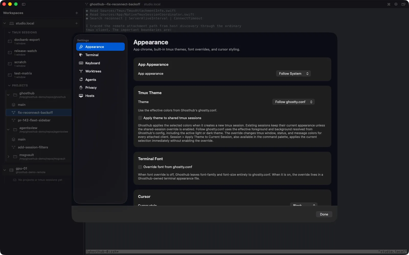 Ghosthub Appearance settings showing the theme for new tmux sessions