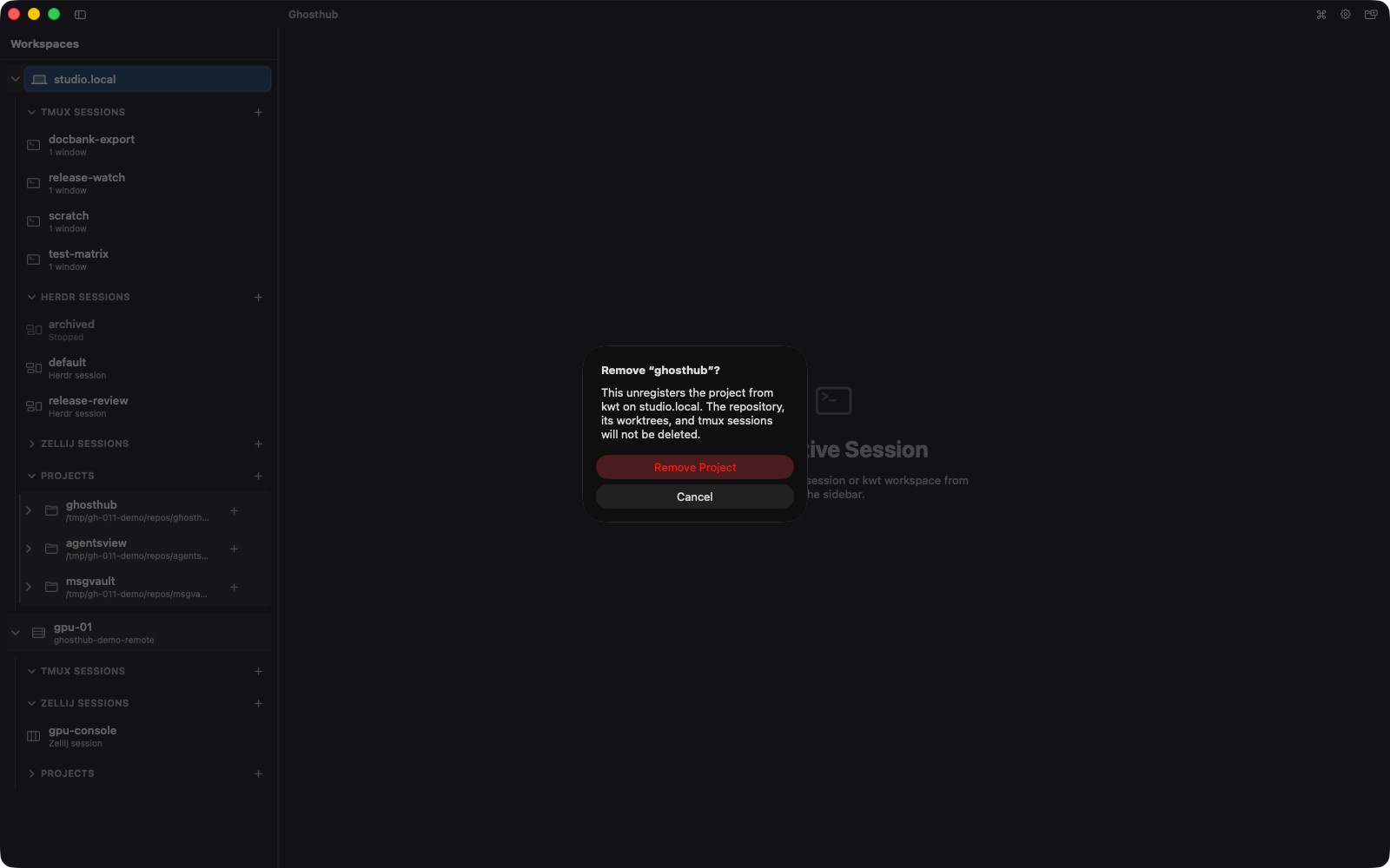 Ghosthub showing the Remove Project action and its non-destructive confirmation